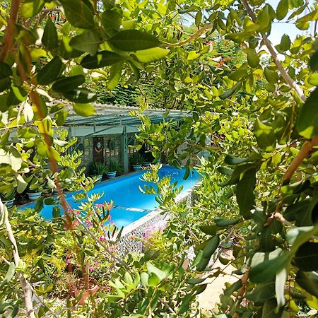 Silk Island Homestay Phnom Penh Extérieur photo